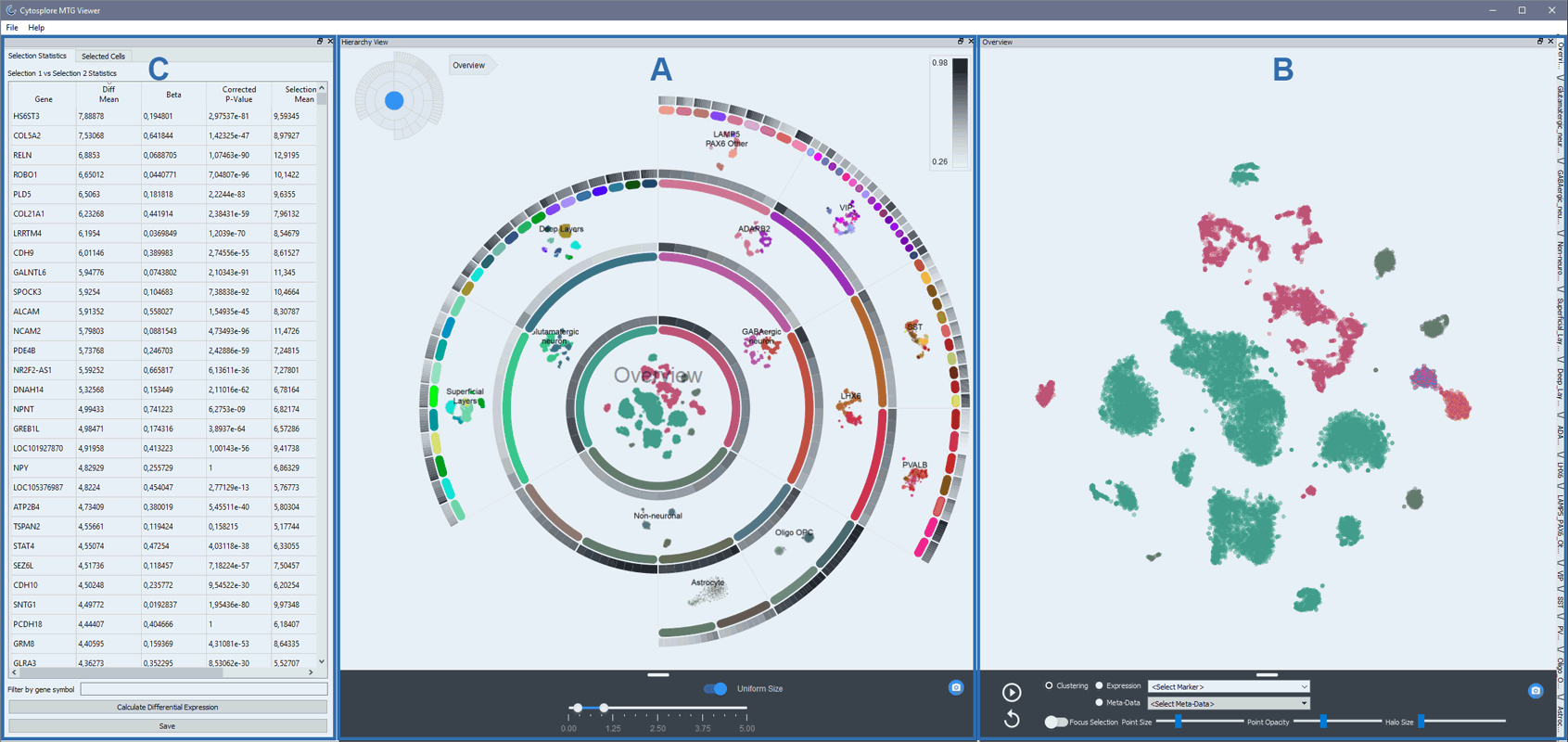 Cytosplore Viewer Overview image