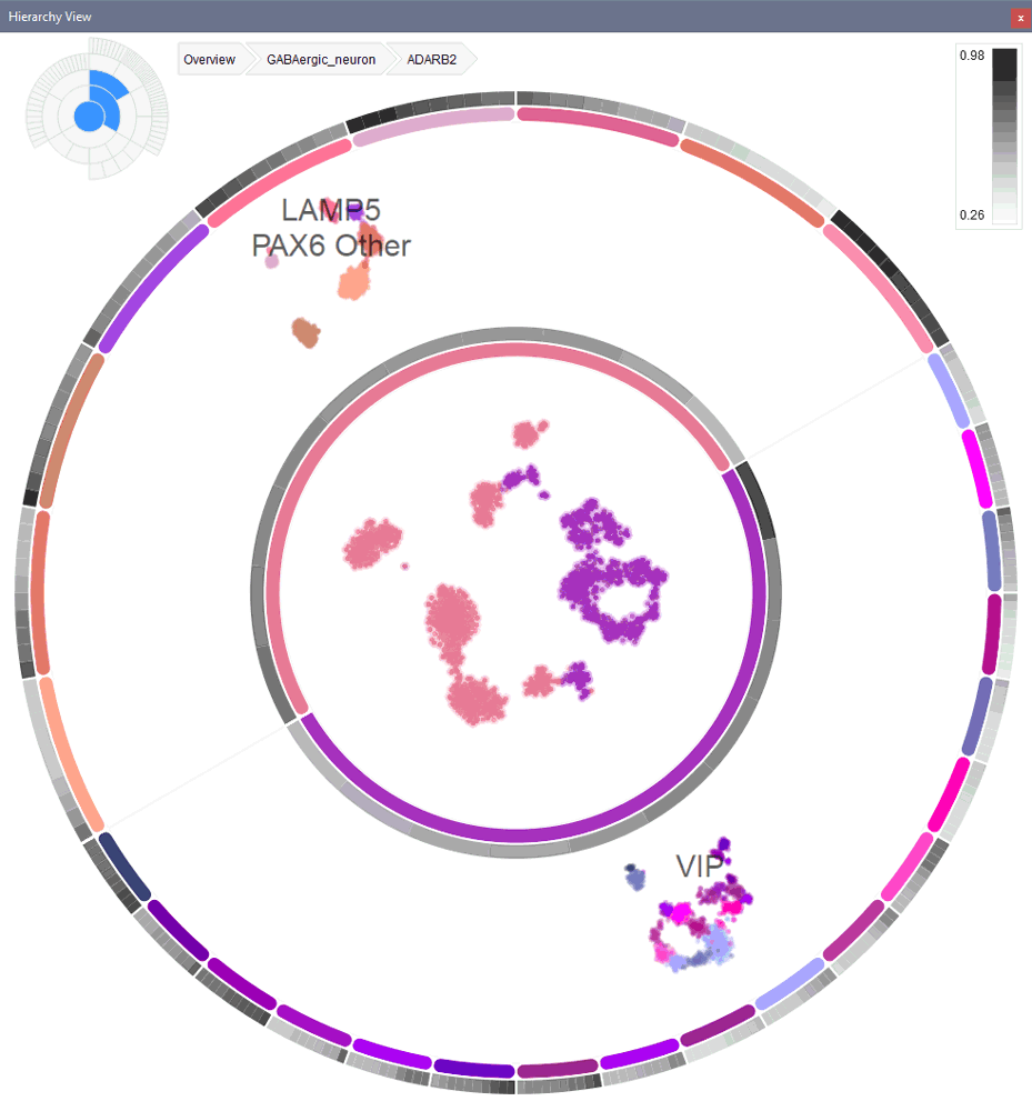 Cytosplore Viewer